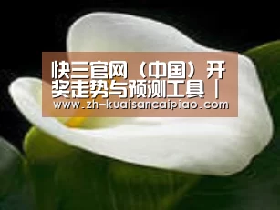 产品名称七